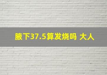 腋下37.5算发烧吗 大人